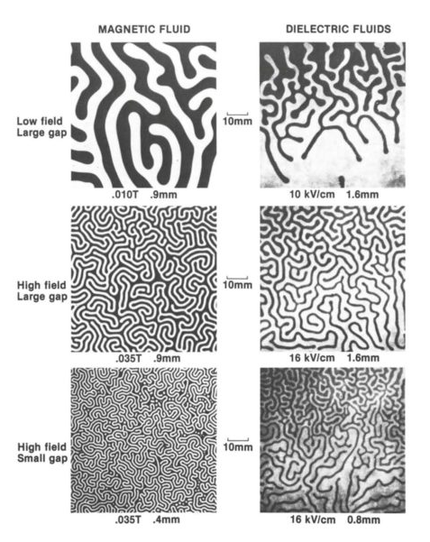 Reaction Diffusion